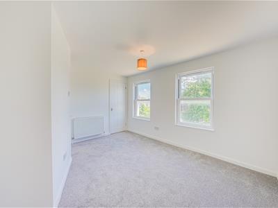 Picture 24